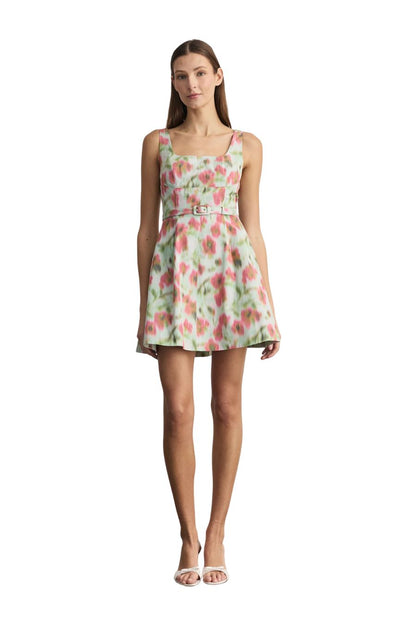 Paige Dress in Pistachio Multi