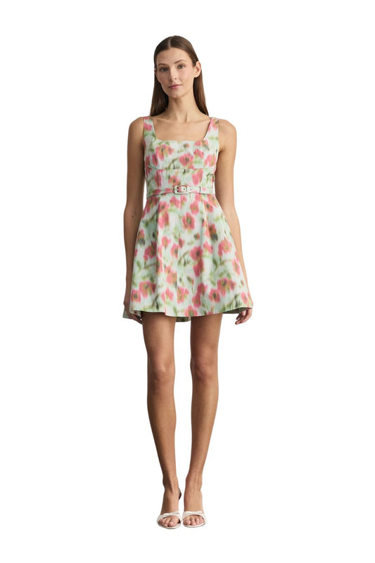 Paige Dress in Pistachio Multi