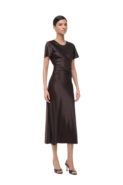 Marcel Silk Dress in Earth