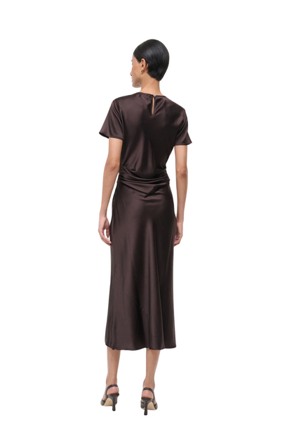 Marcel Silk Dress in Earth