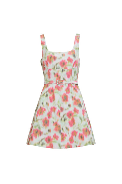 Paige Dress in Pistachio Multi