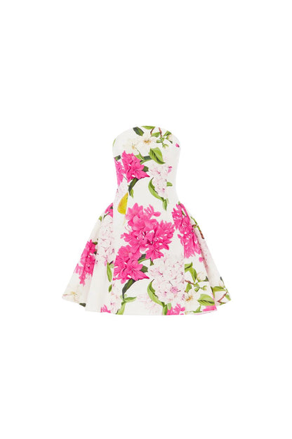 Reese Bustier Mini Dress