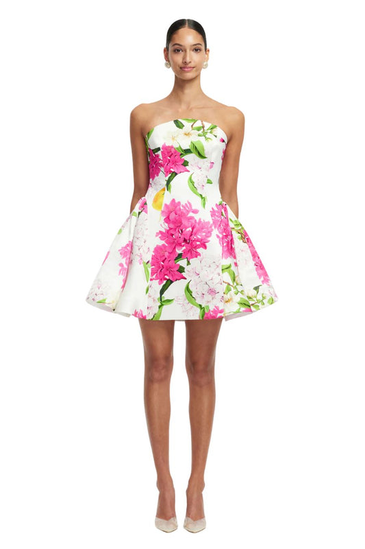 Reese Bustier Mini Dress