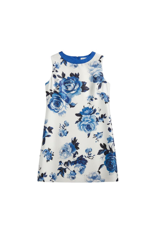 Immy Dress in Blithe Rose