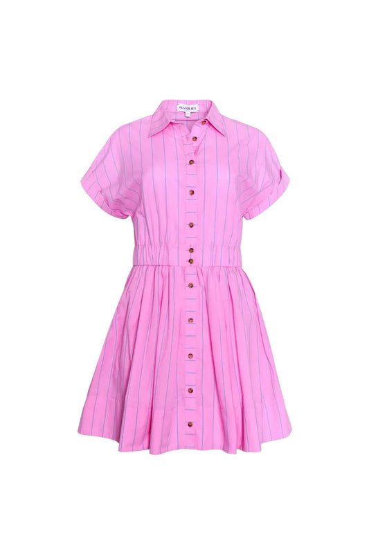 Howard Dress in Watermelon Stripe