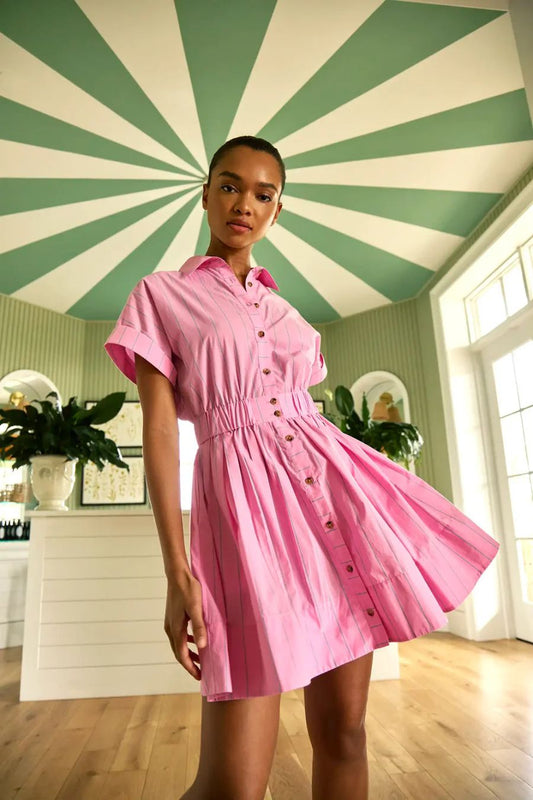 Howard Dress in Watermelon Stripe
