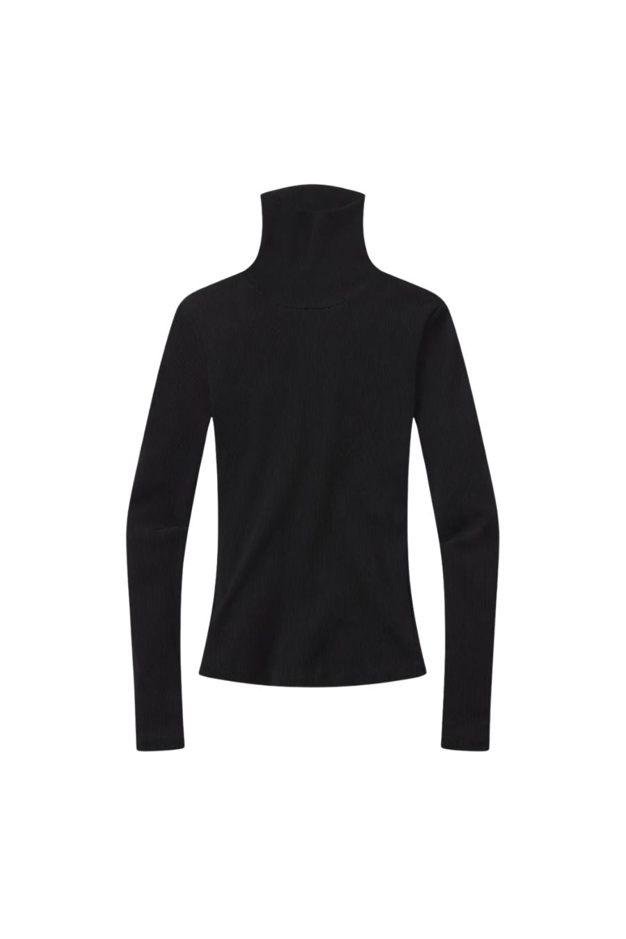 Caradene Turtleneck in Black