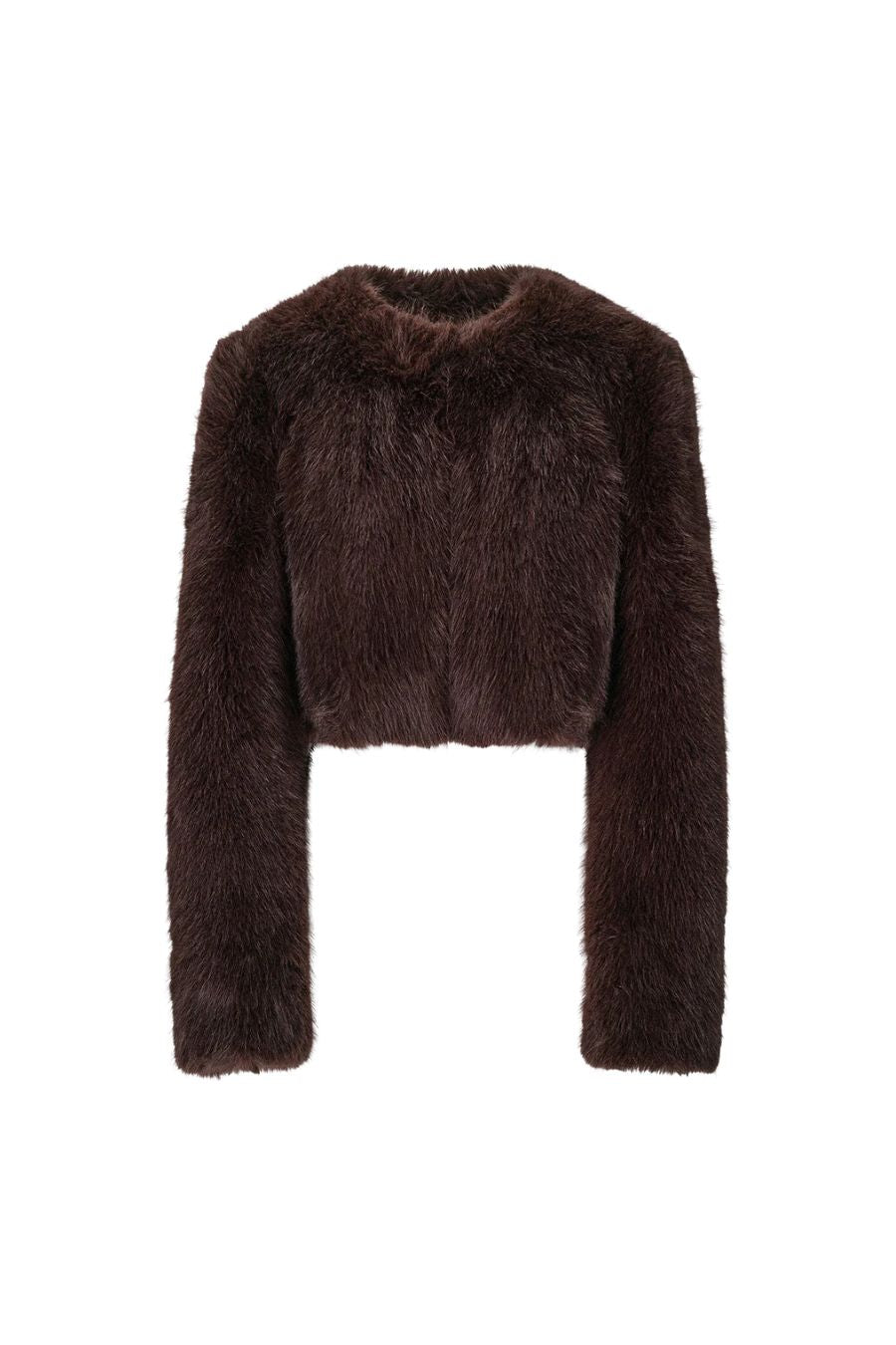 Casimira Jacket in Earth