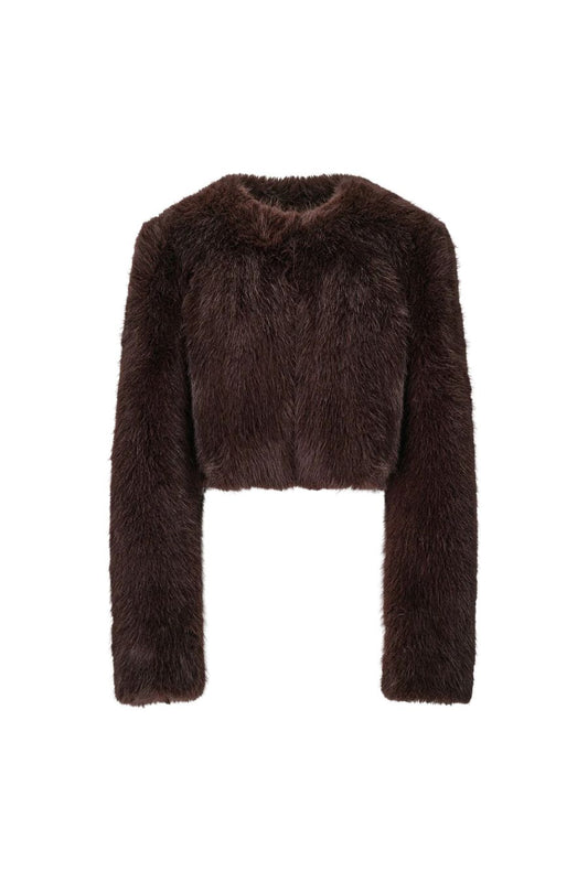 Casimira Jacket in Earth