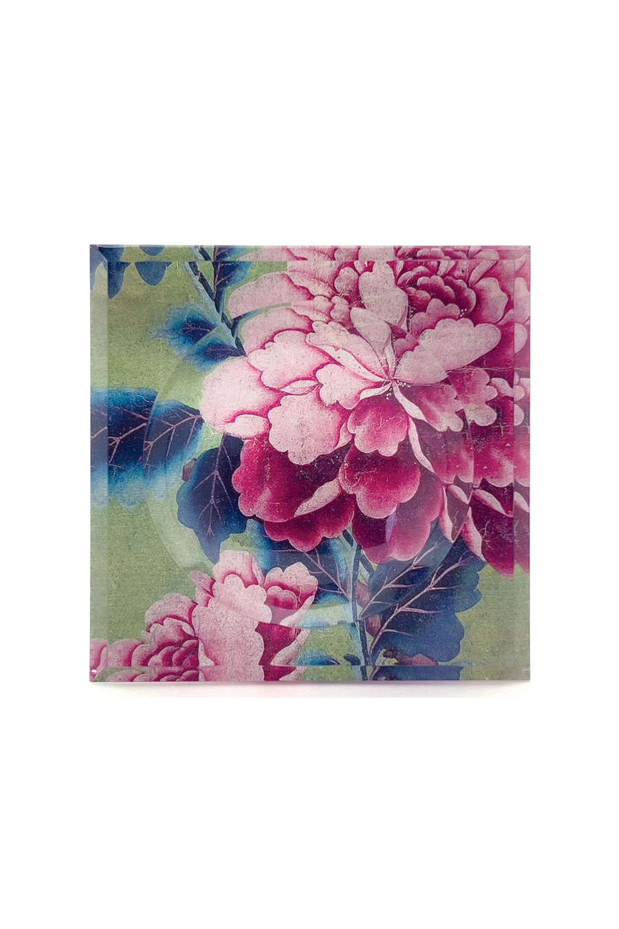 Acrylic Block Soap Dish | Green Chinoiserie