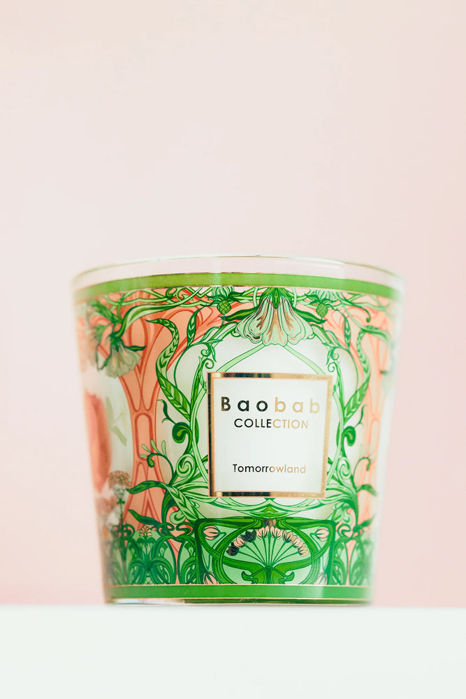 Candle My First Baobab Tomorrowland