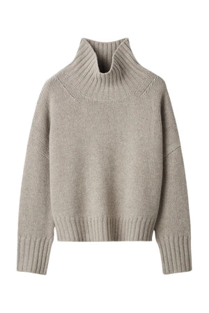 Girlfriend Turtleneck in Greige